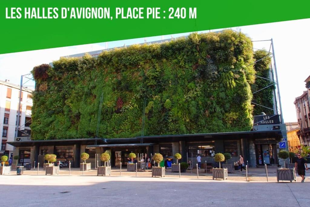 Studio Tout Confort - Intra-Muros - Plein Centre Avignon Exterior foto